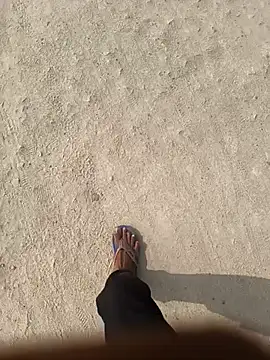 Snapshot of Bio-teacher chatting on October 2025 08:13:02 AM Bio-teacher online show from October 2025 08:13:02 AM