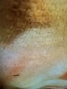 HOT-MUNDA online show from December 2025 01:33:02 AM