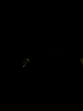 XanderOzzz online show from November 2025 08:37:02 AM