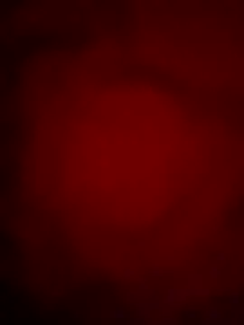 Snapshot of Punam_sexy chatting on October 2025 12:07:02 PM Punam sexy online show from October 2025 12:07:02 PM