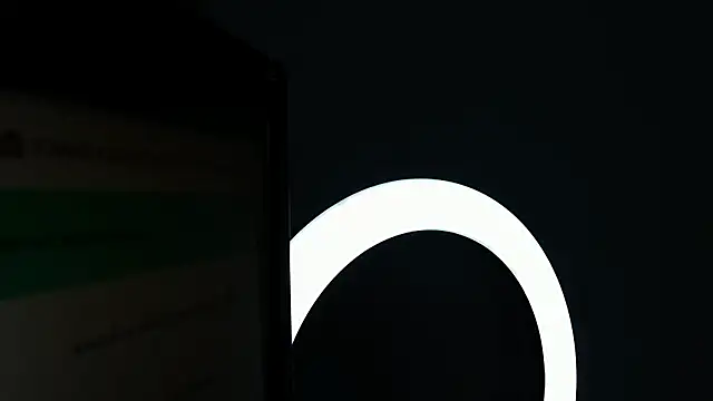 kitty collins  online show from February 2026 11:39:02 AM