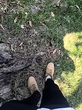 rajdehli online show from April 2026 06:00:02 AM