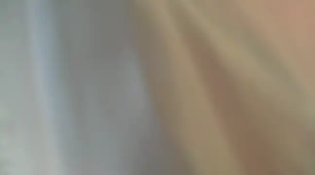 Snapshot of Liz_Hu chatting on December 2024 11:00:01 AM Liz Hu online show from December 2024 11:00:01 AM