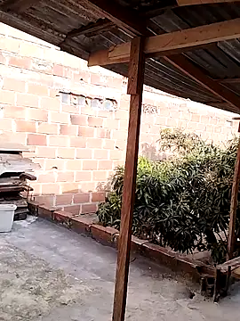 hoteder online show from November 2025 12:52:01 PM