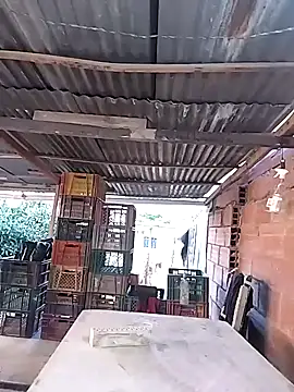 hoteder online show from February 2026 12:10:02 PM