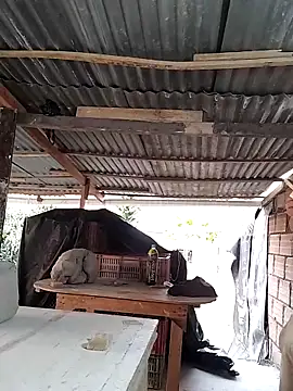 hoteder online show from April 2026 12:12:01 PM