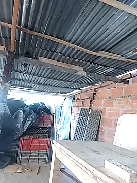 hoteder online show from April 2026 01:15:01 PM