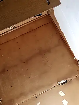 lucho2328 online show from January 2026 08:03:02 PM