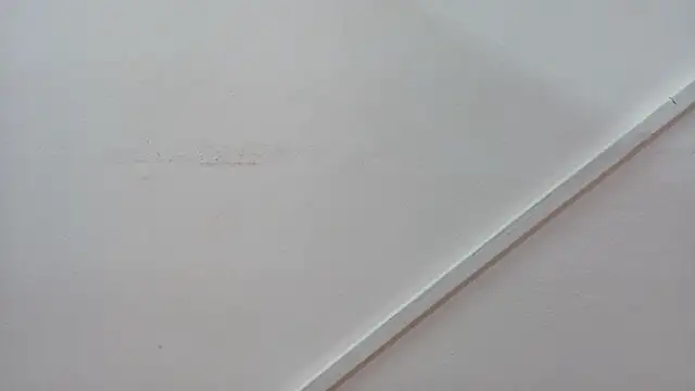 Snapshot of Lizbeth_Rouse chatting on October 2025 12:55:01 PM Lizbeth Rouse online show from October 2025 12:55:01 PM