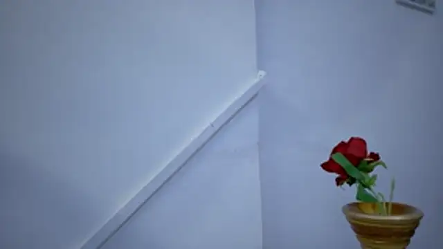 Snapshot of Lizbeth_Rouse chatting on November 2025 11:29:01 AM Lizbeth Rouse online show from November 2025 11:29:01 AM