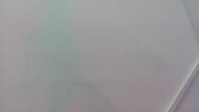 Snapshot of Lizbeth_Rouse chatting on November 2025 11:31:01 AM Lizbeth Rouse online show from November 2025 11:31:01 AM