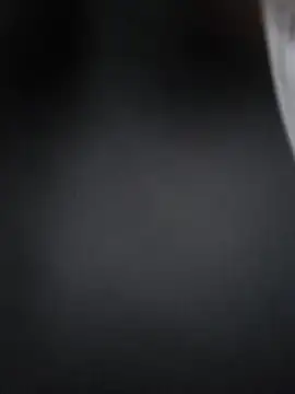 Lizbeth Rouse online show from December 2025 11:05:01 AM