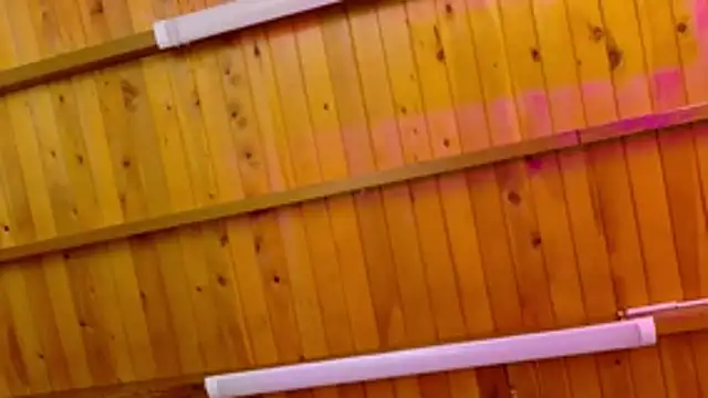 Lizbeth Rouse online show from January 2026 10:20:01 AM