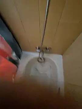 tonipit online show from December 2025 08:24:02 PM