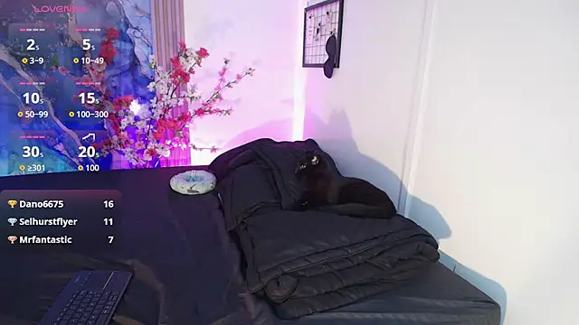 Valkiria 09 online show from December 2025 03:24:02 AM