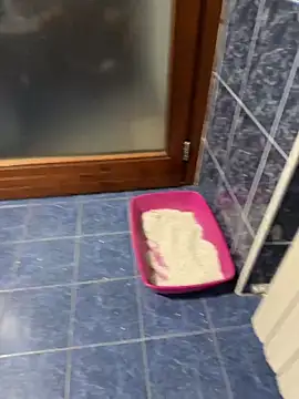 maialexte online show from April 2026 03:59:01 AM