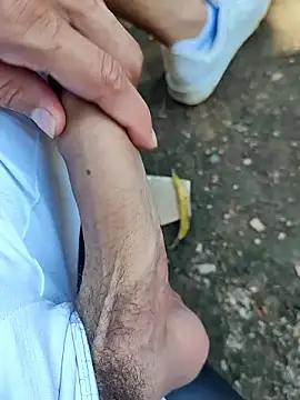 Master pigdirty online show from September 2025 03:56:02 PM