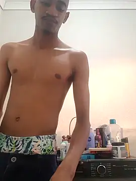 gemini loops online show from December 2025 04:05:01 PM