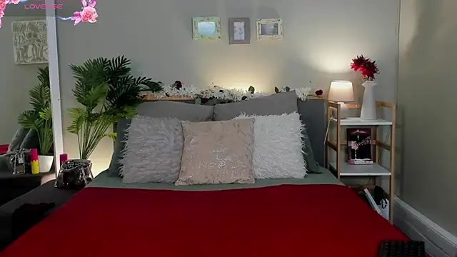 HotStellaaa online show from November 2025 08:38:01 AM