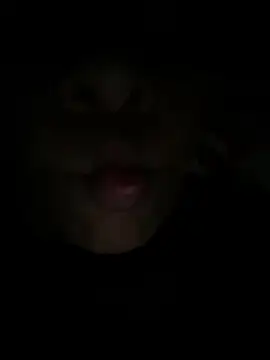 Luna025 online show from February 2026 04:43:02 AM