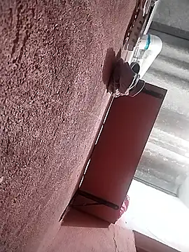 Snapshot of KingMaxiZ chatting on October 2025 11:58:02 PM KingMaxiZ online show from October 2025 11:58:02 PM