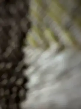 monster20cm online show from March 2026 03:23:01 AM