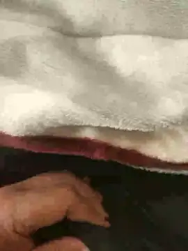 mM0140 online show from January 2026 08:30:01 AM