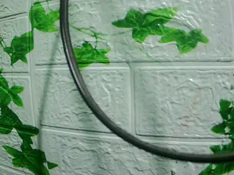 Snapshot of daros453 chatting on November 2025 02:13:02 AM daros453 online show from November 2025 02:13:02 AM