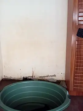 small D94 online show from April 2026 12:07:01 PM