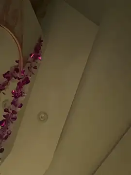 HaltBrand online show from March 2026 09:11:02 AM