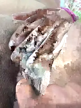 ache45 online show from November 2025 09:15:01 PM