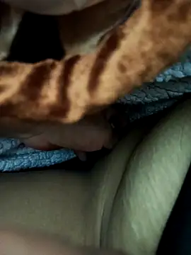 ache45 online show from March 2026 10:26:02 PM