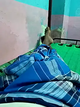 dolphiinn online show from October 2025 04:58:01 PM