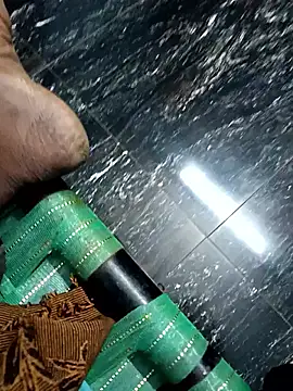 dolphiinn online show from November 2025 05:34:01 PM