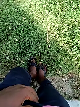 dolphiinn online show from June 2026 03:18:01 AM