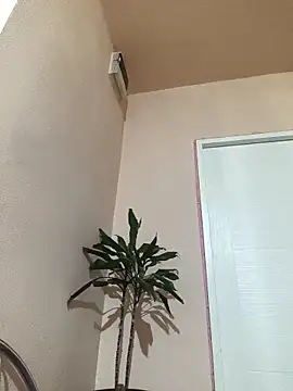 papichulo0099 online show from October 2025 03:07:02 AM