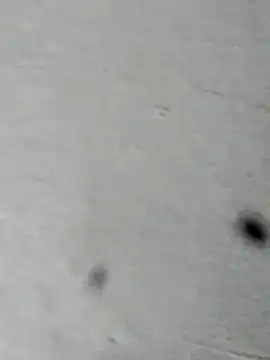 Mollysdick online show from April 2026 02:18:02 PM