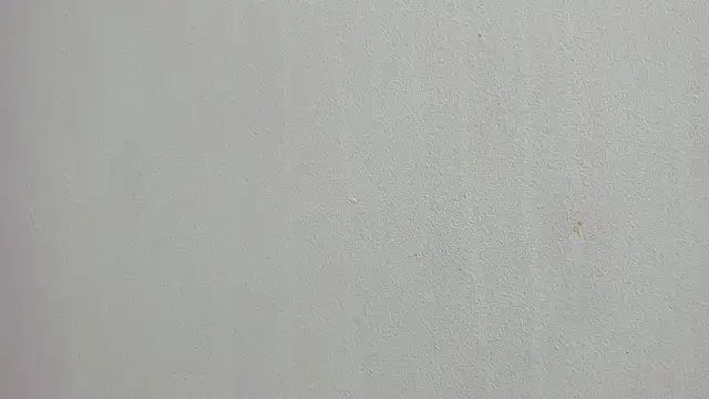 scarlett646 online show from March 2026 03:03:02 AM