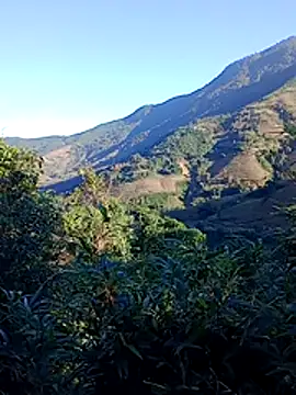 Snapshot of misa_00 chatting on November 2025 01:08:02 AM misa 00 online show from November 2025 01:08:02 AM