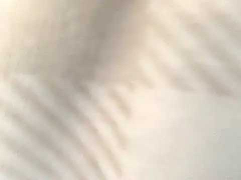 Tishrella6 online show from September 2025 07:25:02 PM