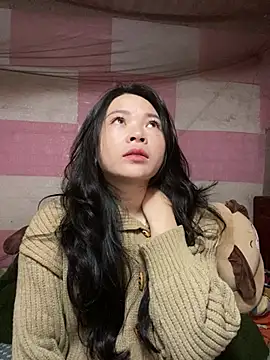 Aminotran online show from January 2026 03:33:01 AM