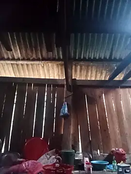 Ngocmi909 online show from March 2026 12:40:01 AM