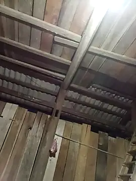 Ngocmi909 online show from April 2026 10:12:02 PM