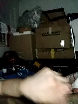 Snapshot of LolGamer54321 chatting on February 2026 11:45:02 PM LolGamer54321 online show from February 2026 11:45:02 PM