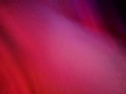 Snapshot of divine_stefani chatting on May 2026 10:20:02 AM divine stefani online show from May 2026 10:20:02 AM