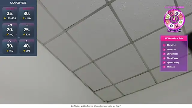 Snapshot of Busty-Thaiger chatting on June 2026 06:53:01 PM Busty-Thaiger online show from June 2026 06:53:01 PM