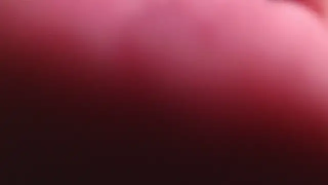 bri von dhara   online show from February 2026 02:45:01 AM