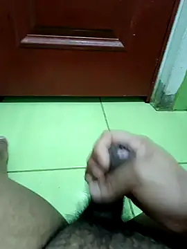 Snapshot of Geminis_95 chatting on December 2025 08:19:02 AM Geminis 95 online show from December 2025 08:19:02 AM