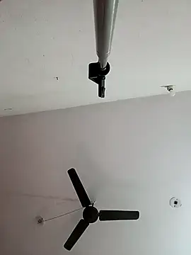 Appypie online show from November 2025 06:44:01 AM