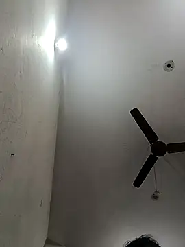 Appypie online show from November 2025 06:41:02 AM